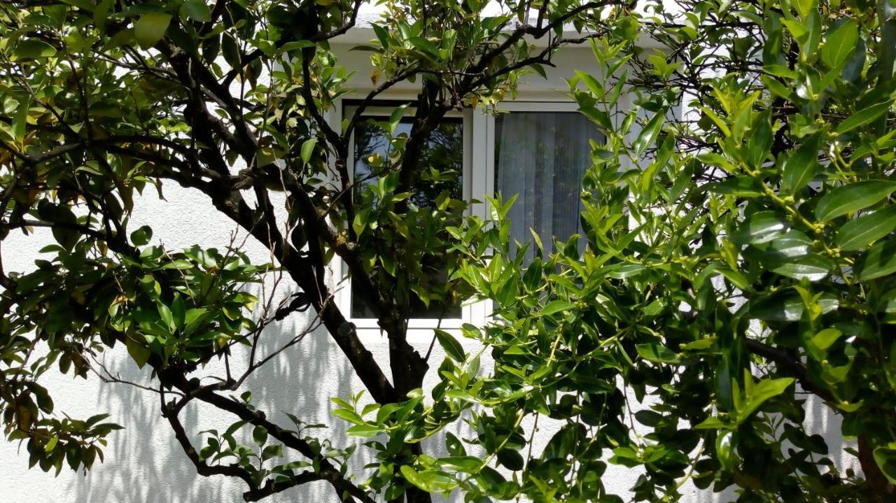 Tea Apartamento Kotor Exterior foto